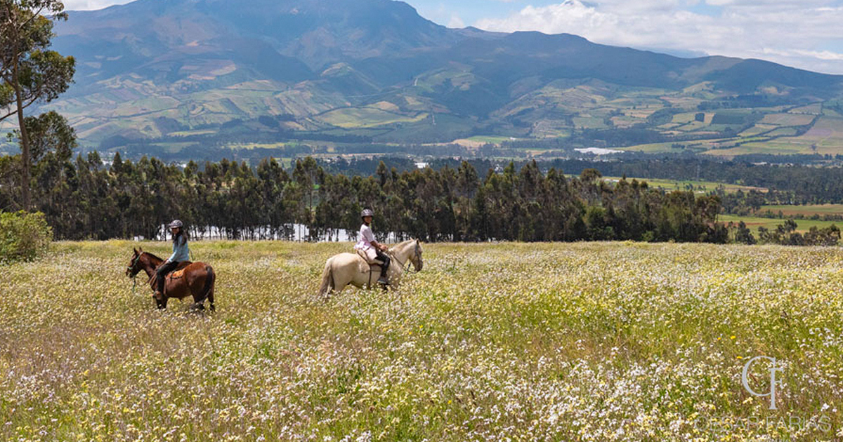 Experiencia Hacienda El Rejo